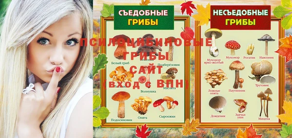 2c-b Ладушкин