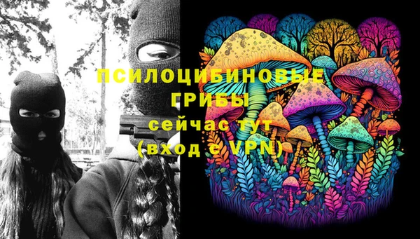 МДМА Лагань