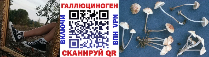 MEGA ССЫЛКА  Усмань  Галлюциногенные грибы Psilocybine cubensis 